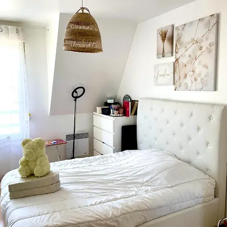 Magnifique Duplexe En Plein Coeur D'amiens Apartment