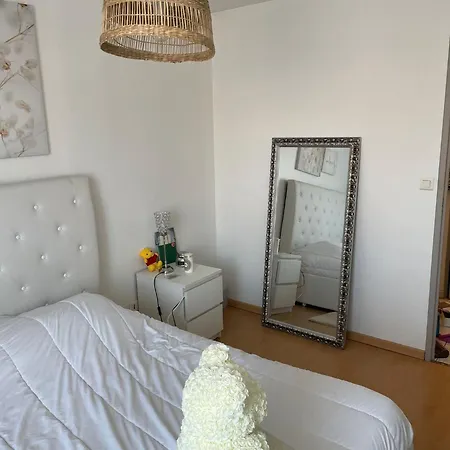 Apartment Magnifique Duplexe En Plein Coeur D'amiens *